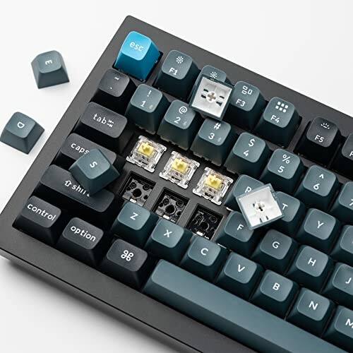 Mechanical keyboard with exposed switches and keycaps removed.